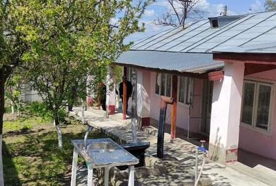 Casă cu 3 camere cu Teren 1000 Mp în Costache Negri - 5