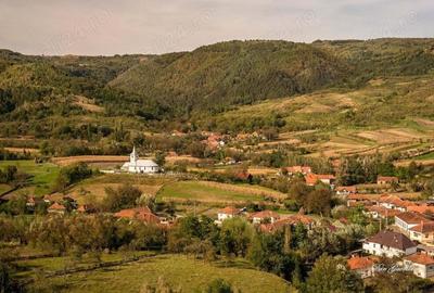 Vand casa cu gradina si curte Rachitova, Jud. HD Vand casa cu gradina si curte Rachitova, Jud. HD - 5