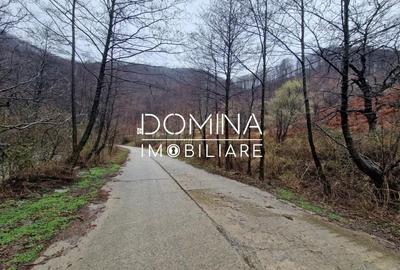 Teren de 4416 mp, în Peștișani - 3