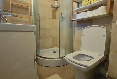 Vila Busteni 4 camere zona Valea Alba Vila Busteni 4 camere zona Valea Alba - 13