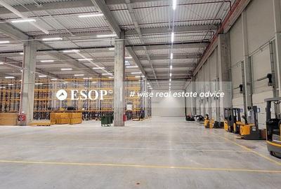 Spațiu comercial, de 5,300 mp, în Chitila - 4