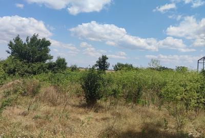 Clinceni- Colectorul de Apa - 4