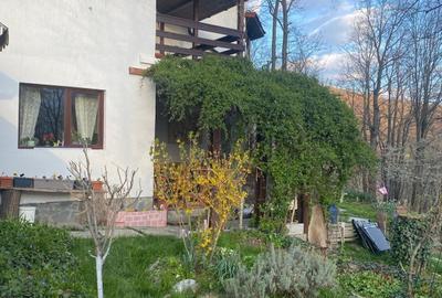 Casă individuală cu 5 camere cu Teren 4825 Mp în Est - 16