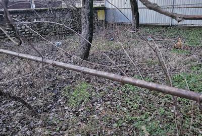 Casa Stane?ti Gorj 7000mp - 3