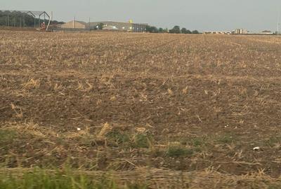 Spațiu comercial, în Brănești - 8