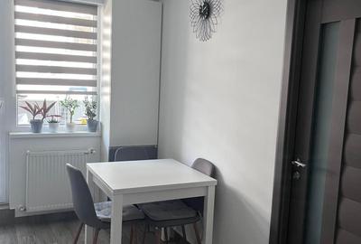 Apartament 2 camer,mobilat si utilat,zona Avram Iancu - 4