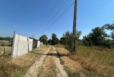 Teren intravilan, 400 MP, Cernele - 7