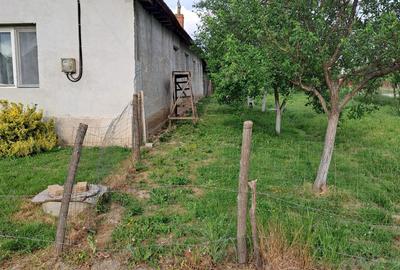 Casă cu 3 camere cu Teren 2877 Mp în Bethausen - 13