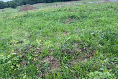 Teren de 3336 mp, în Central - 3