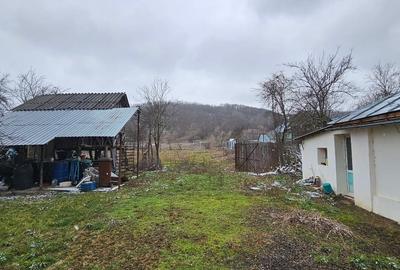 Casă individuală cu 2 camere cu Canalizare în Mitrofani - 7