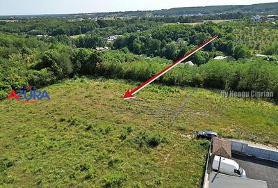 AZURA Imobiliare - Vanzare teren Smeura, zona verde - 5