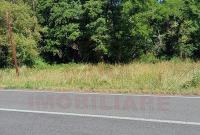 TEREN INTRAVILAN IN MARGA-LA DN68 JUD.CARA?-SEVERIN - 1