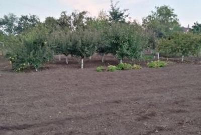Casă cu 4 camere în Grivița - 9