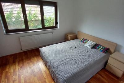 CASA CU TEREN GENEROS IN GRUIU - 35