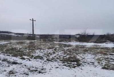 Teren de 2570 mp, în Dumbrava (Ciurea) - 1