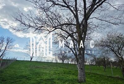 Casa individuala I Curte I Teren 1700 mp I Rosia Casa individuala I Curte I Teren 1700 mp I Rosia - 48