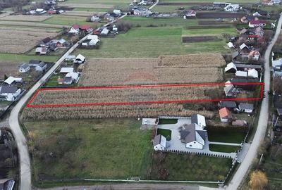 Casă cu 3 camere cu Teren 6100 Mp în Frătăuții Noi - 11