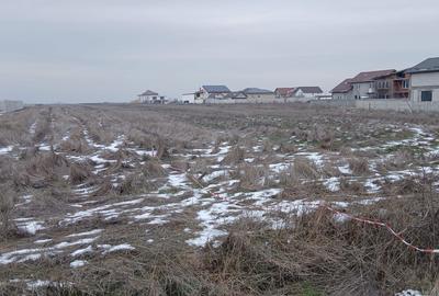 Teren de 9663 mp, în Pielești - 6