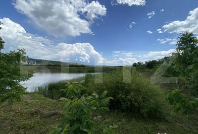 Teren de 10000 mp, în Șărmășag - 7