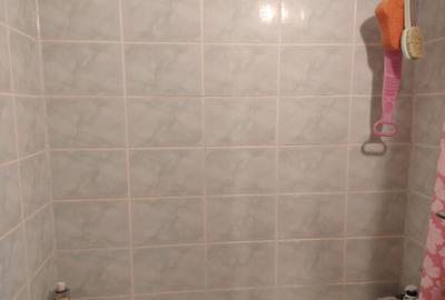 Apartament 2 camere pe malul Cri?ului - 8