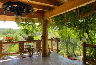 Casă cu 7 camere cu Teren 17000 Mp în Cărbunari - 14