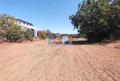 VANZARE TEREN INTRAVILAN MAGURELE 2530 mp zona CODRULUI - 4