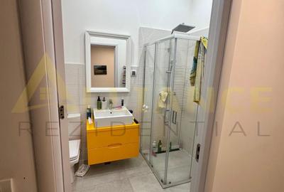 Splaiul Unirii Vila P+1+M, Mobilata si Utilata - 4 camere, 2 bai - 25