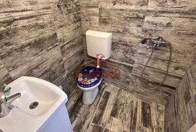 Spatiu comercial P+M, in Sibiu zona centrala - 3