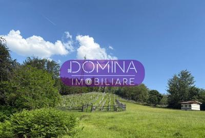 *Domeniu* cu poten?ial turistic - Bumbe?ti-Jiu - 20