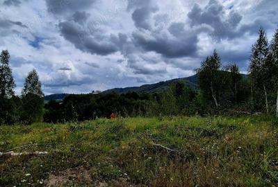 Teren cabana de vacanta Comision 0% - 5