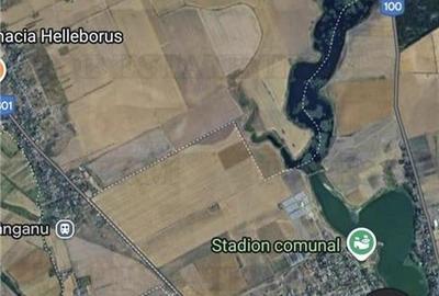 Teren extravilan 18000 mp in Tanganu Teren extravilan 18000 mp in Tanganu - 3