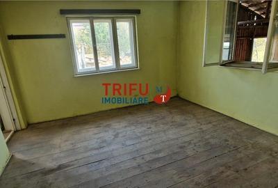 Casă de vânzare zona Cetate Schit 740 mp teren - 7