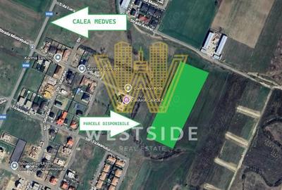 Terenuri de Vanzare Mosnita Noua - 1