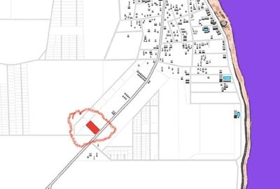 Teren agricol extravilan de 3000 mp, în Limanu - 1