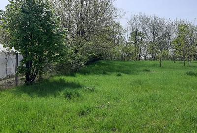 Teren de 3800 mp, în Bălușeni - 1