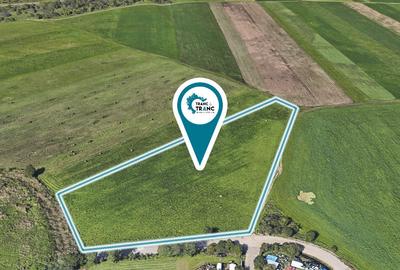 Teren de 11500 mp pentru Complex Reziden?ial in Sannicolau Mic - 4