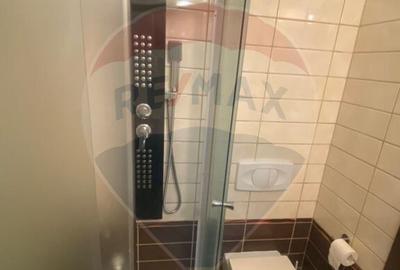 DE INCHIRIAT Apartament cu 3 camere Tineretului , Asmita ... - 22