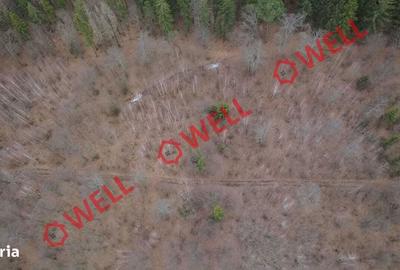 Teren de 100000 mp, în Dalnic