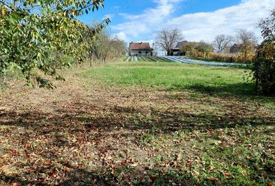 Casa de vanzare + gradina in sat Zagujeni - 2
