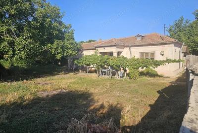 Casă în Turnu Măgurele - 3