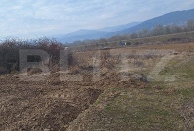 Teren in Salistea, 15800 mp - 1