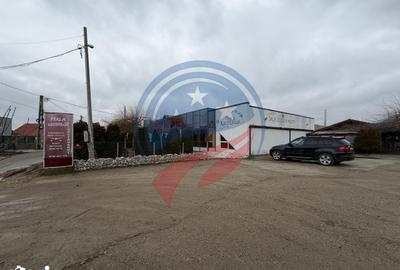 Spațiu comercial, de 706 mp, în Șimnicu de Sus - 14