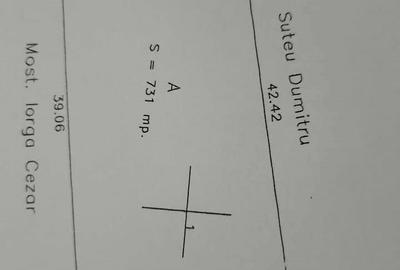 Casă cu 3 camere cu Teren 731 Mp în Plopu - 2