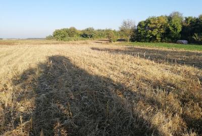 Spațiu comercial, în Marotinu de Sus - 2