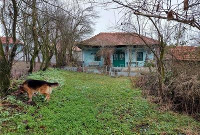 Casă în Central - 5