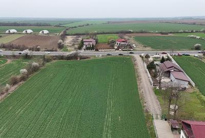 0% | Teren intravilan, 4563 mp, front 25 m, utilitati | Potigrafu PH - 6