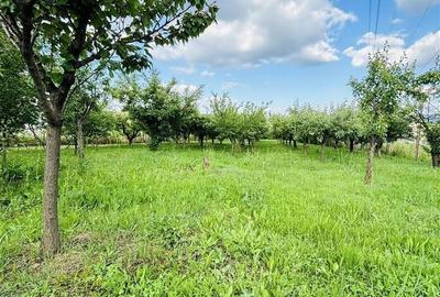 Casă cu 4 camere cu Teren 3405 Mp în Sânmartin - 11