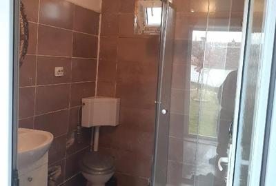 Casă cu Teren 1000 Mp în Pelișor - 1