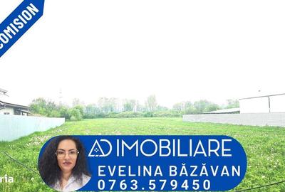 Spațiu comercial, în Dănești - 1