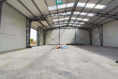 Hala noua in zona industriala Giarmata - 1